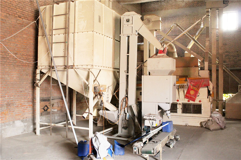 1509091454873545.jpg IMG_8317.JPG